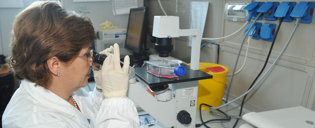 Scienziate e Paesi in via di sviluppo - HuffPost Italia