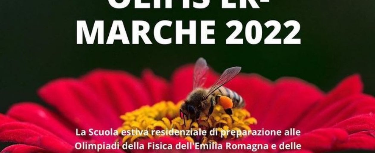Estensione della garanzia fino a 5 anni su ePower