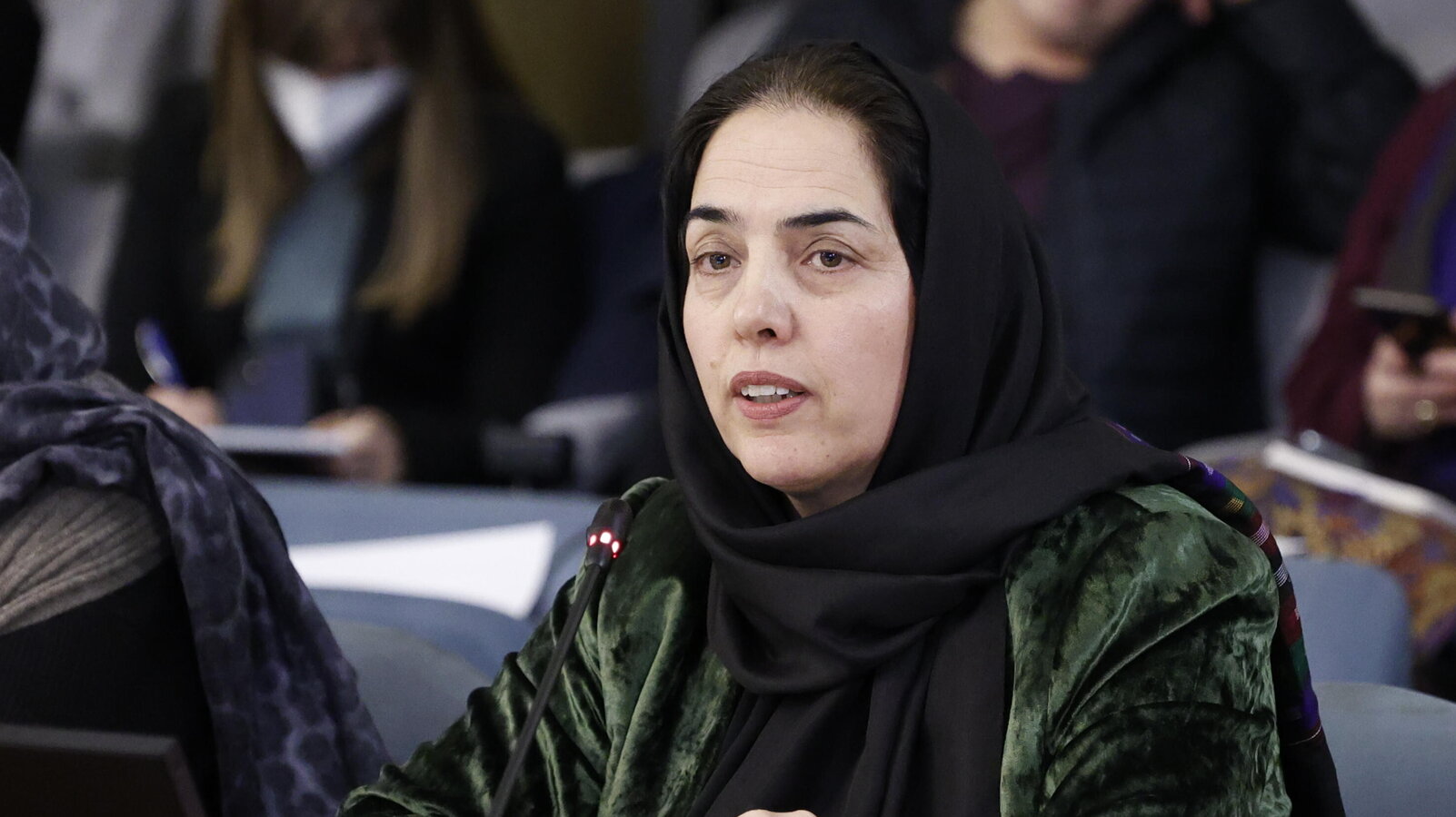 Frozan Hatami Frozan Nawabi: “Il mondo combatta l'apartheid sulle donne afghane, come ...