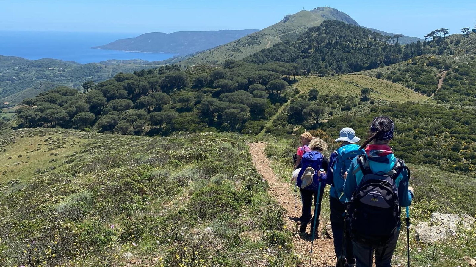 Dal trekking urbano ai percorsi d’arte e natura, spunti e appunti per ...