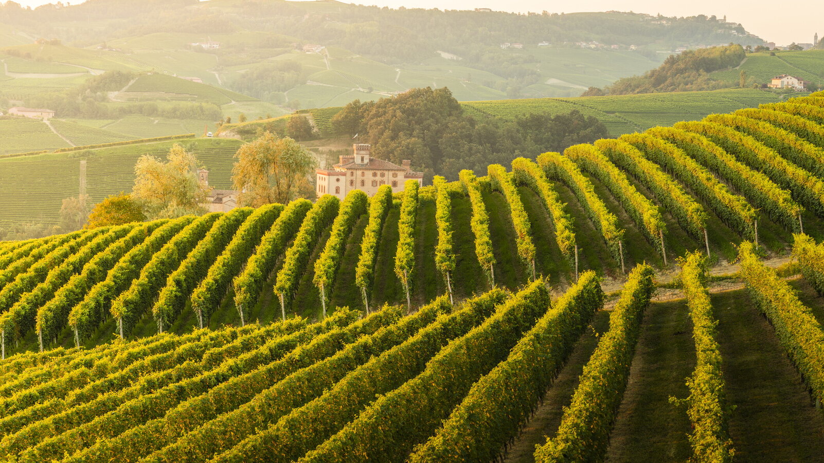 Wine Spectator, la copertina del Vinitaly alla nuova generazione enologica italiana