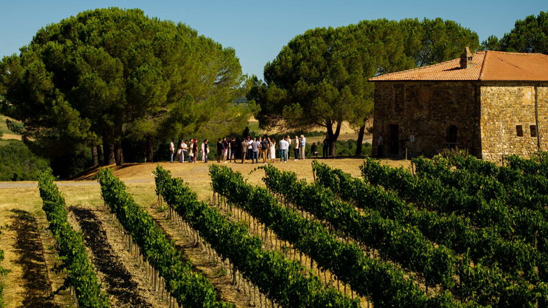Il vino in cattedra a Montalcino. Al via la Summer school di Banfi tra cultura, osservatori e note jazz