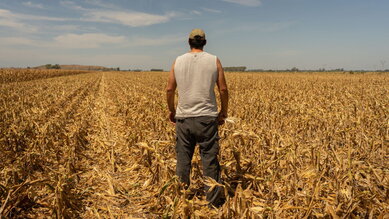 Il caldo brucia i raccolti: l’agricoltura alla prova del clima che cambia