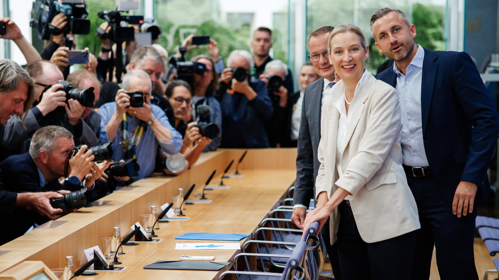 Alle radici di AfD c'è la crisi del debito