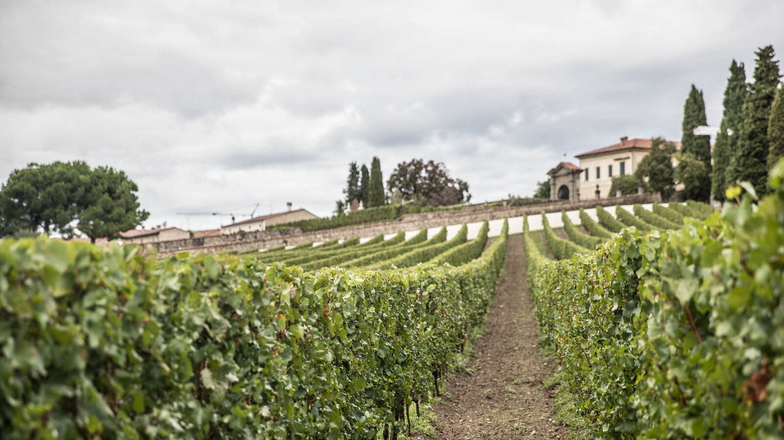 Festival Franciacorta in Cantina