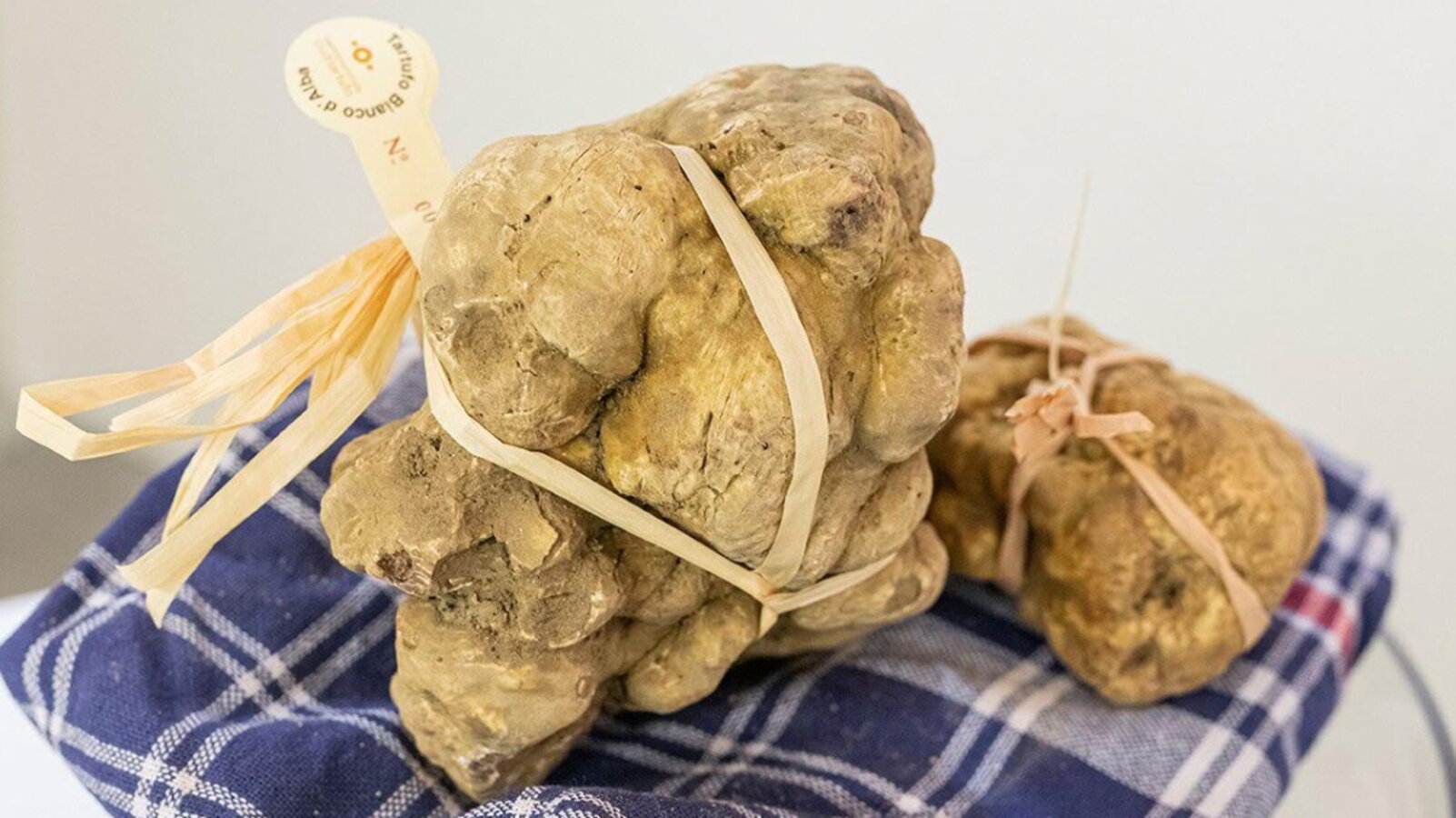 Edi Blog Posts L’autunno del tartufo parte da Alba - HuffPost Italia