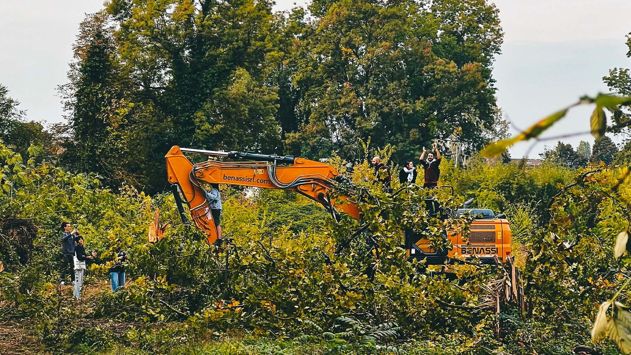 A Reggio Emilia stanno abbattendo un bosco per fare spazio a un supermercato 