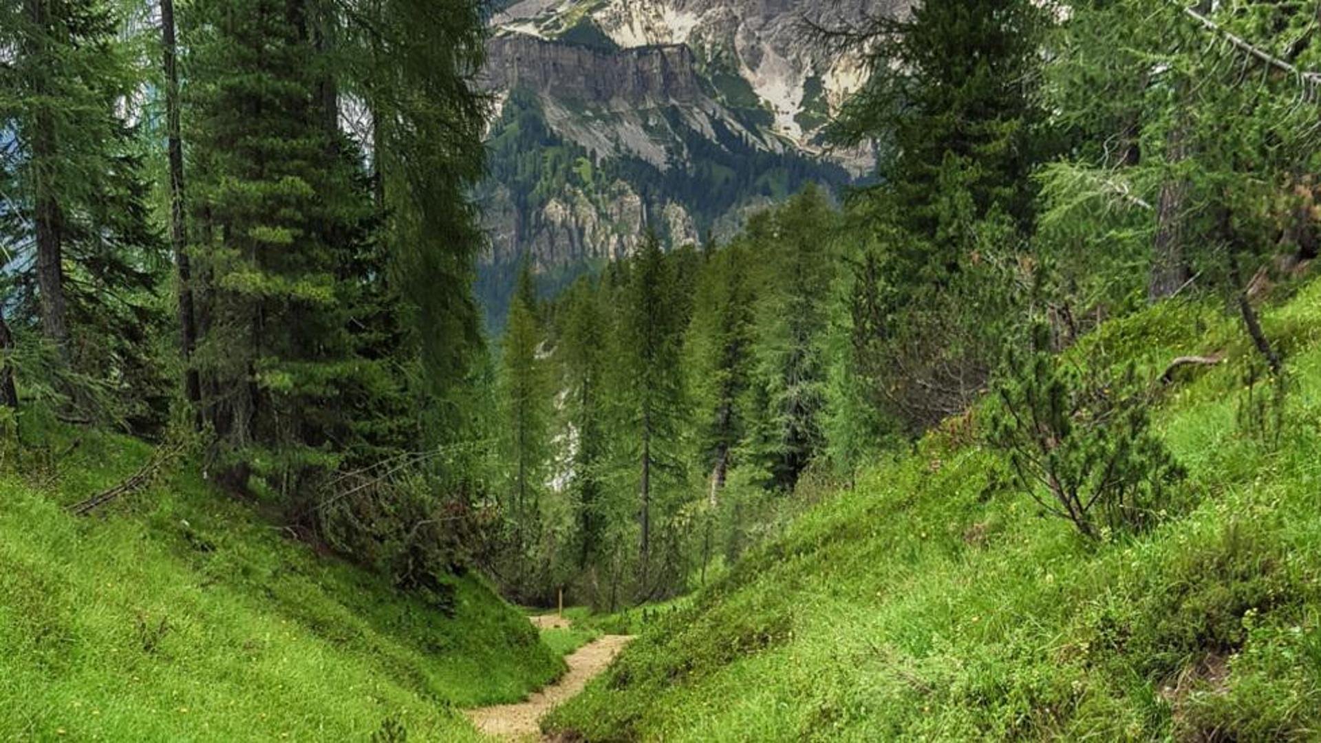 faloria-aperto-il-sentiero-dolomieu-trail-corriere-delle-alpi