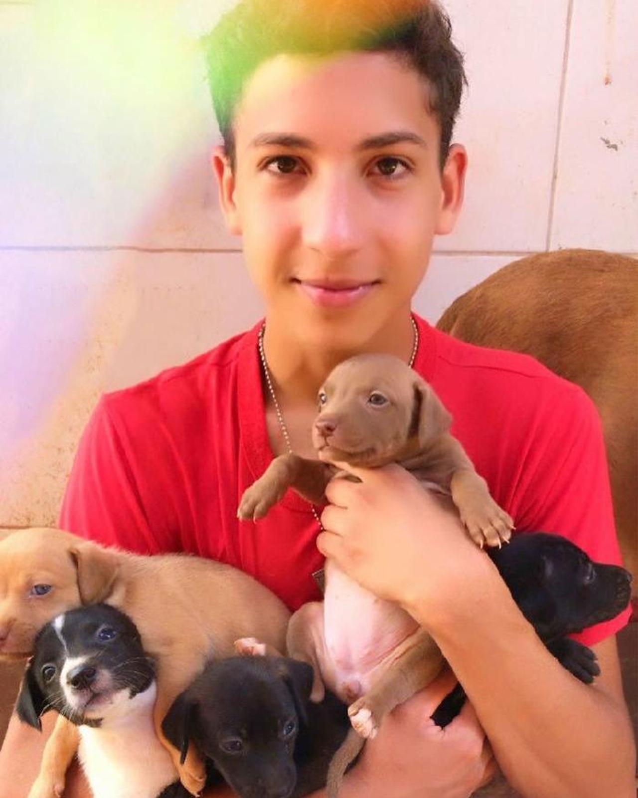 Un ragazzo di 17 anni apre un rifugio speciale per animali e ha già ...