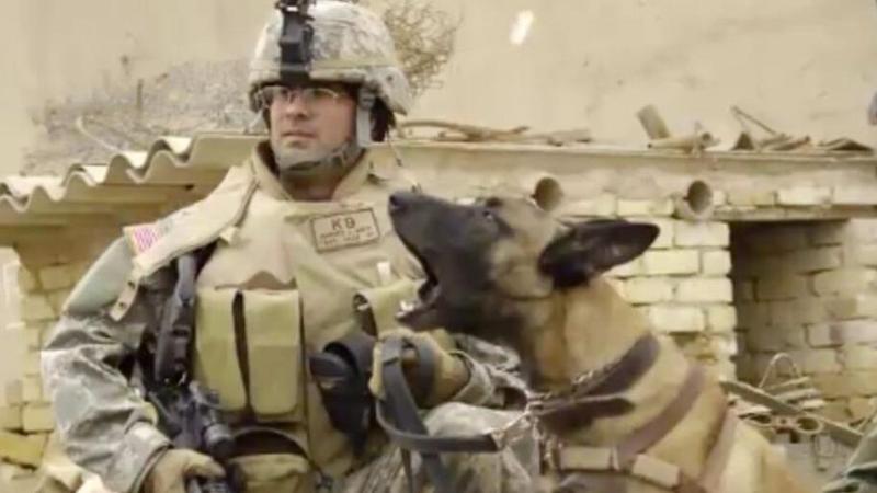 Dopo sette anni un veterano si riunisce al cane che gli ha salvato la ...