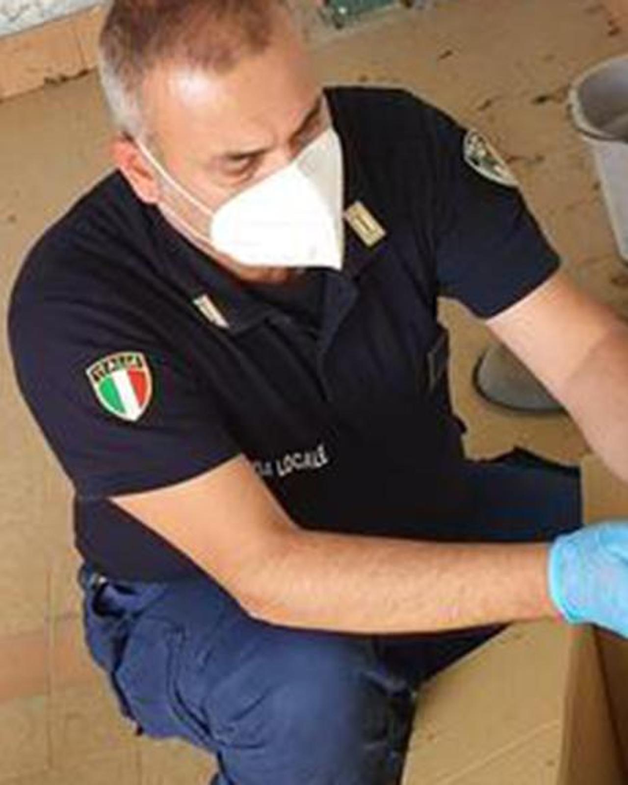 vengono affidati alle cure di un tutore