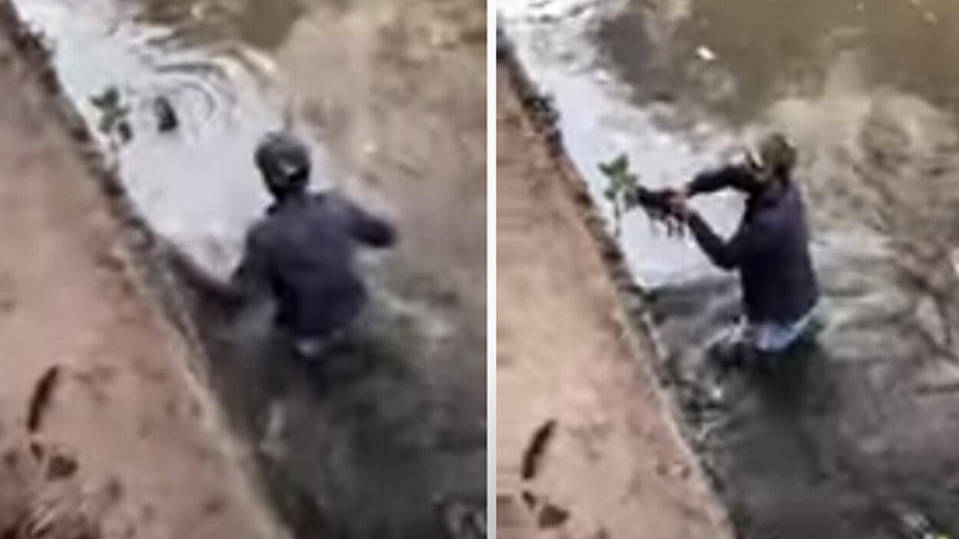 Un ragazzo rischia la vita per salvare quella di un cane caduto in un ...