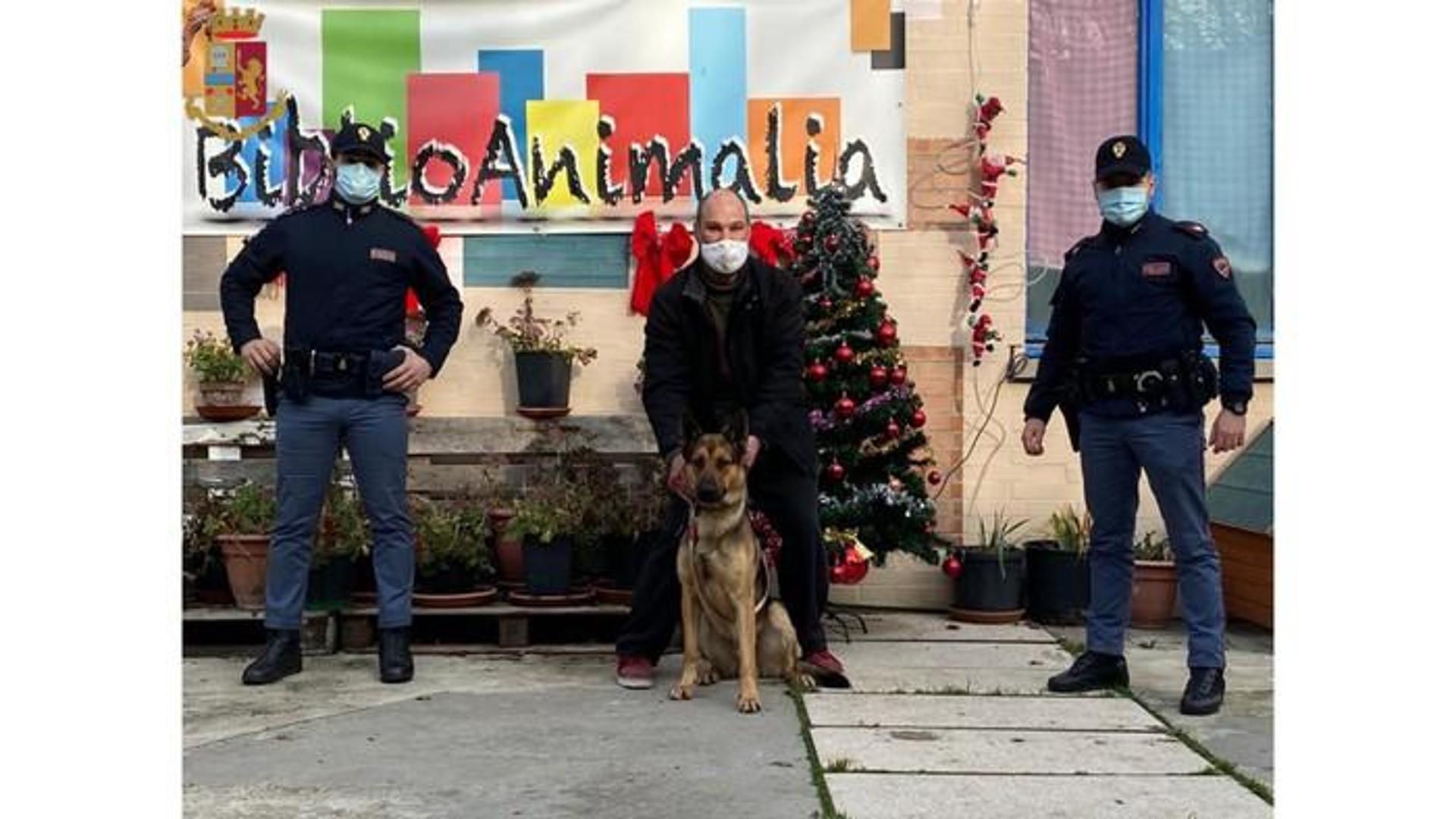La Polizia salva un cane maltrattato a Bologna e lo restituisce al ...