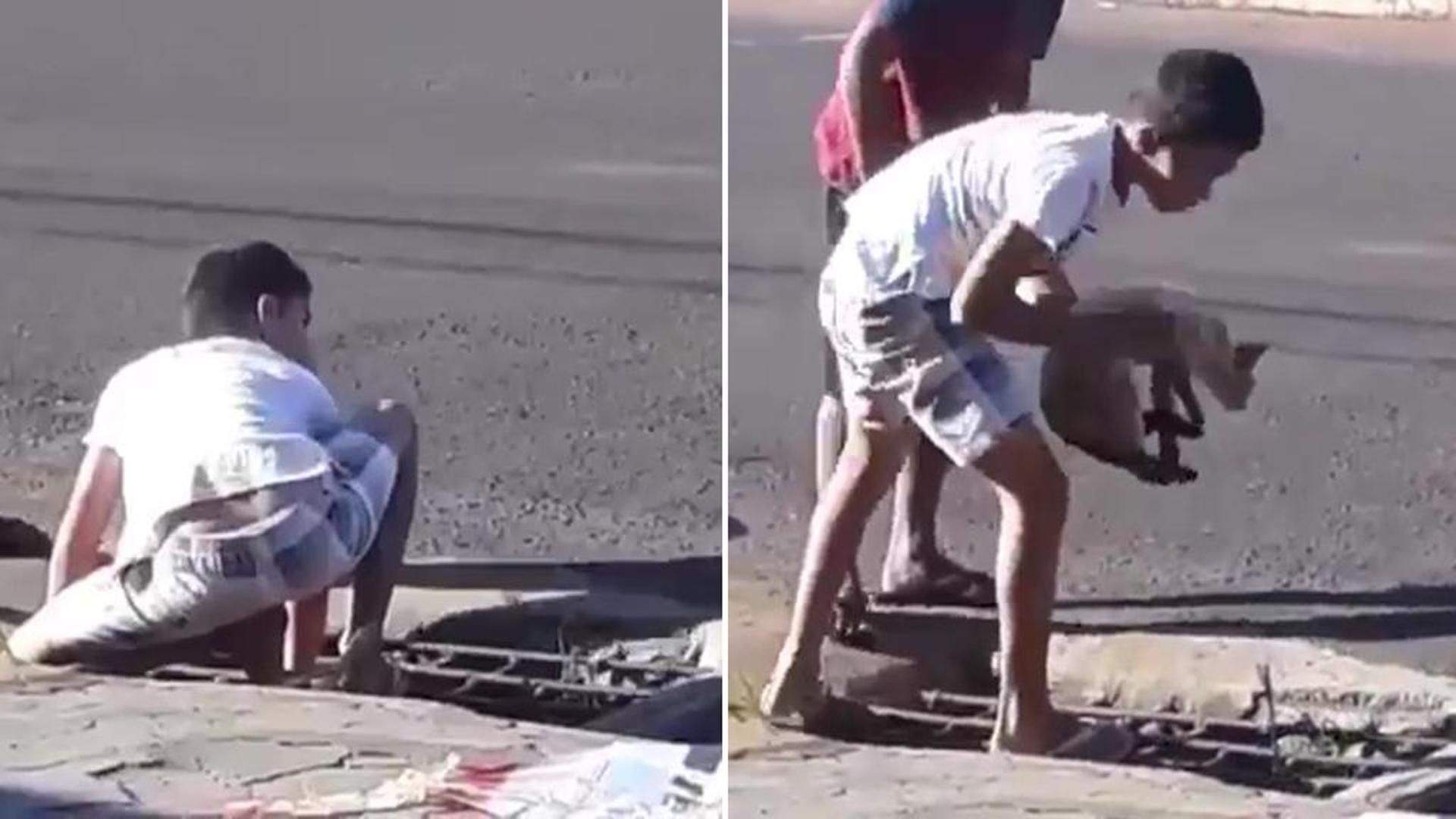 Bambino di nove anni salva un gatto rimasto intrappolato in un tombino ...