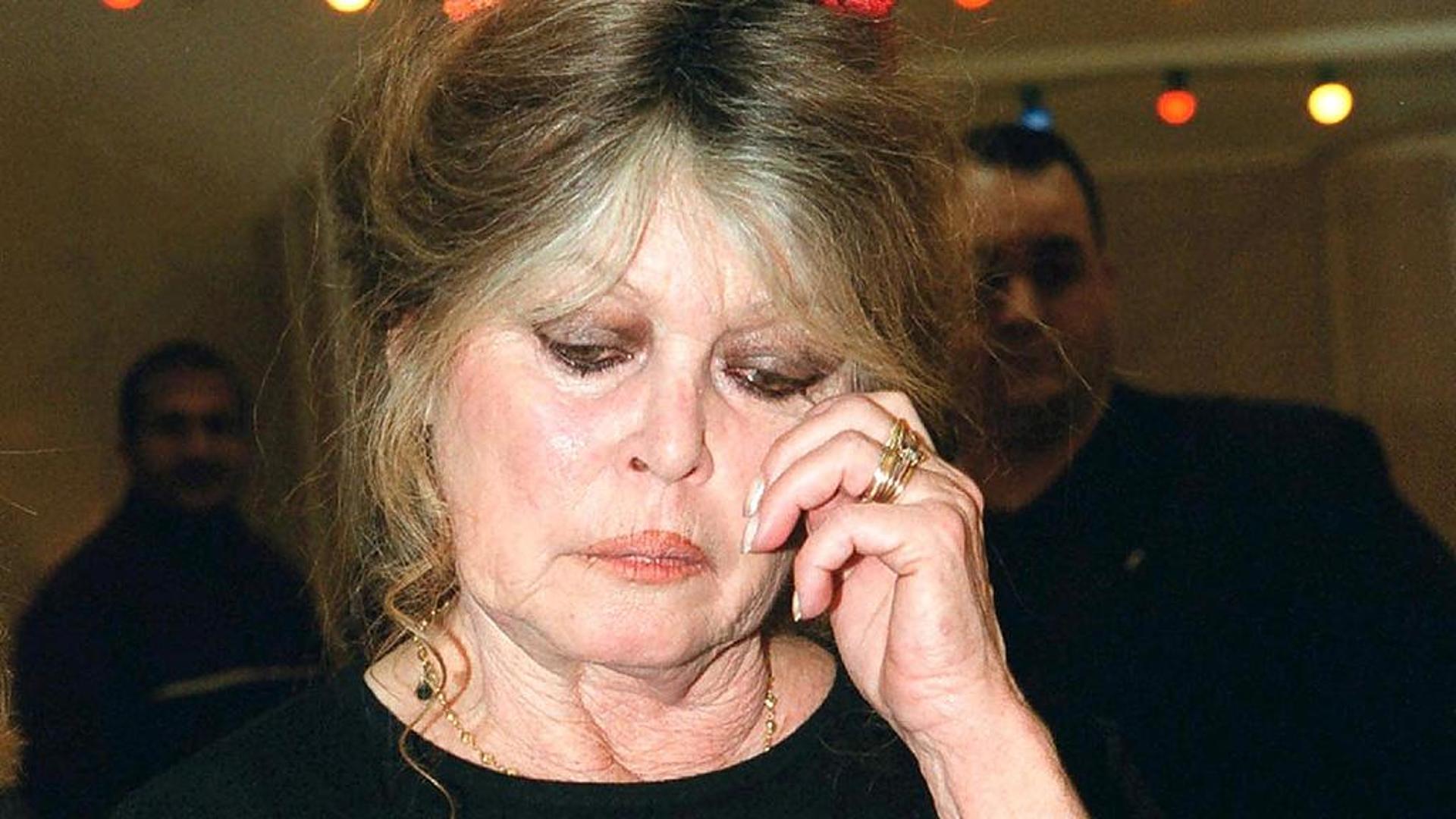 France, actress Brigitte Bardot returns to attack Muslims: "I don't