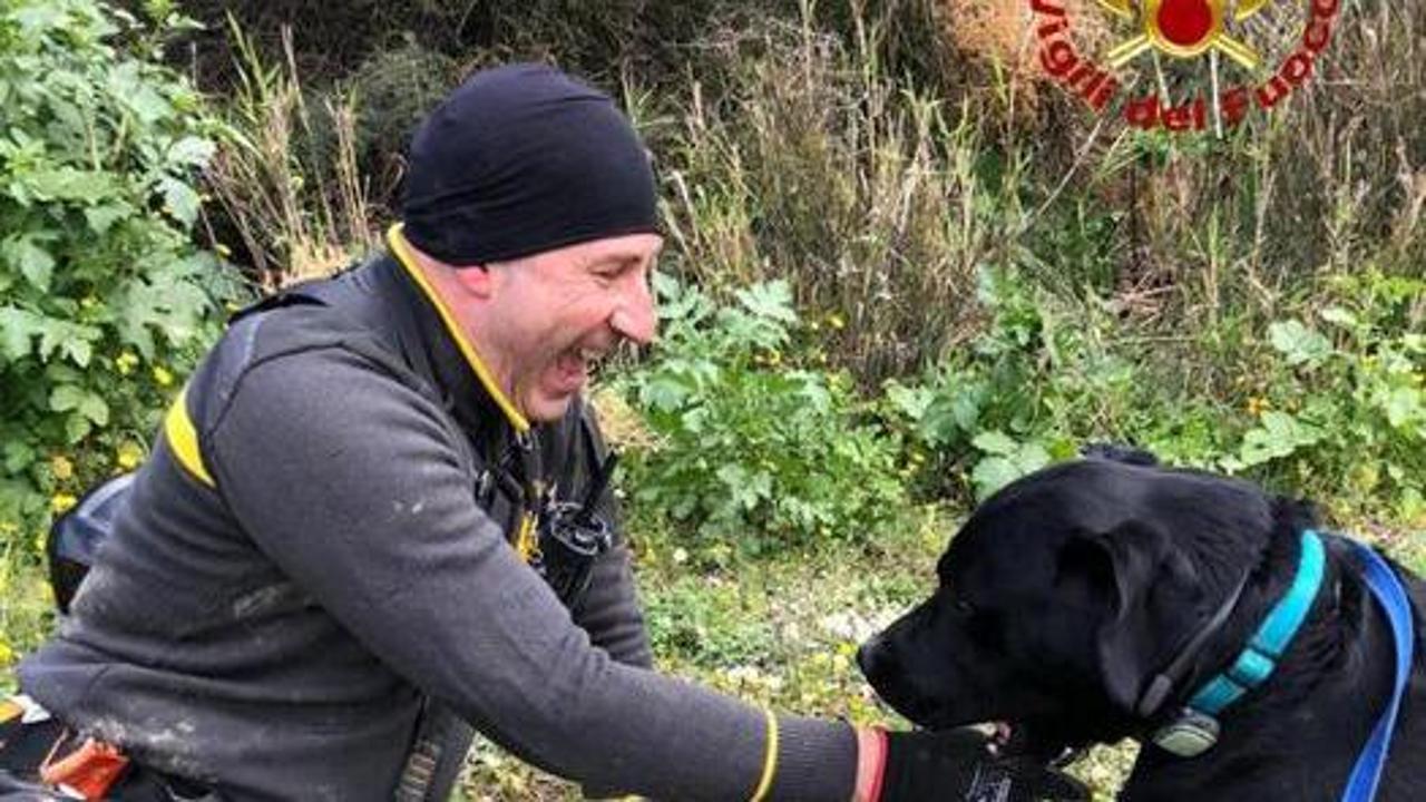La felicità in una foto: il cane gioca con il vigile del fuoco che lo ...