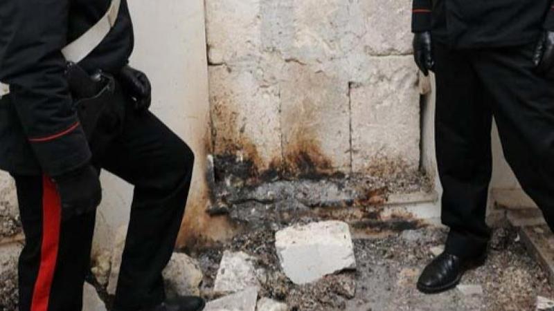 Choc A Taranto Cucciolo Cane Ucciso A Sassate E Bruciato Indagati Tre 