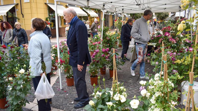 Aromatica Conto Alla Rovescia Per Il Festival Delle Erbe Aromatiche E 
