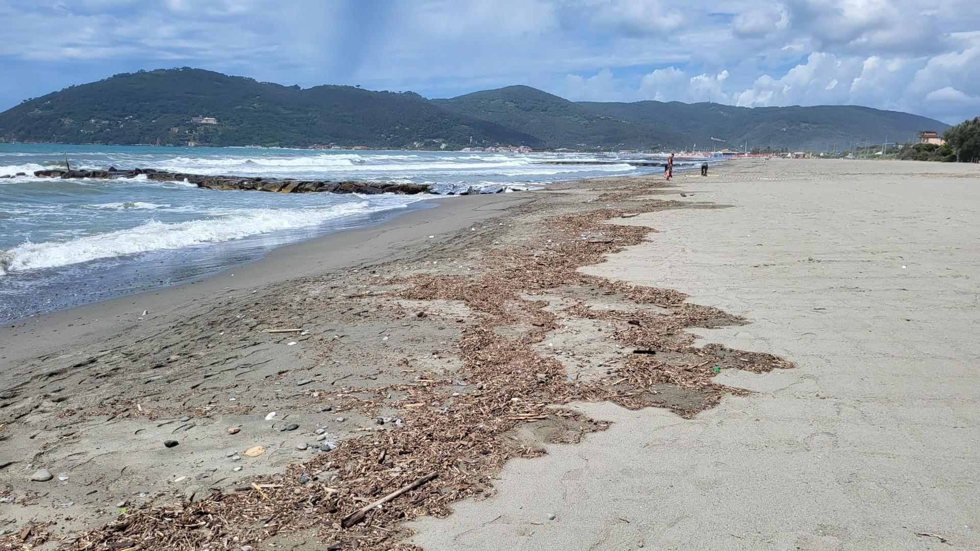 Marinella di Sarzana, la spiaggia libera che nessuno vuole - Il Secolo XIX