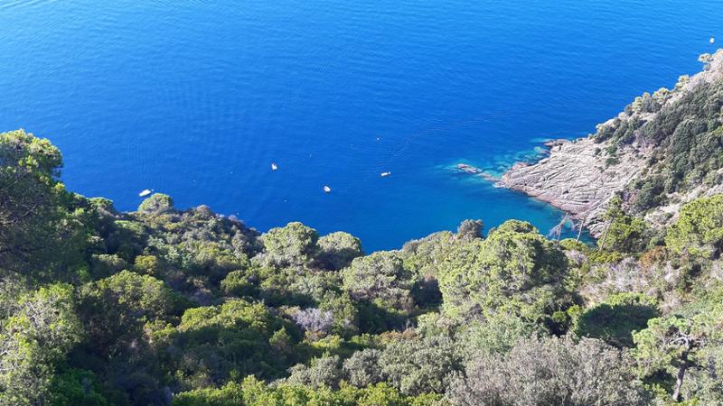 Il Consiglio di Stato boccia la riduzione del Parco nazionale di Portofino
