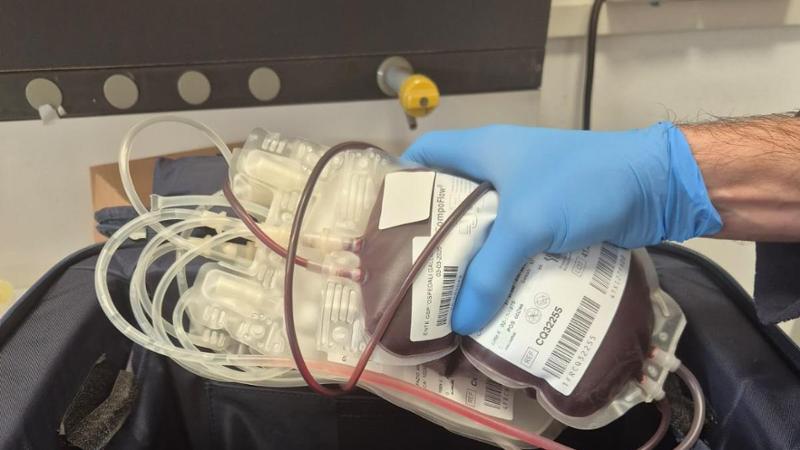 Talassemia, in Liguria quasi 200 persone ci convivono: “Trasfusioni salvavita ogni venti giorni, ecco perché è importante donare il sangue”