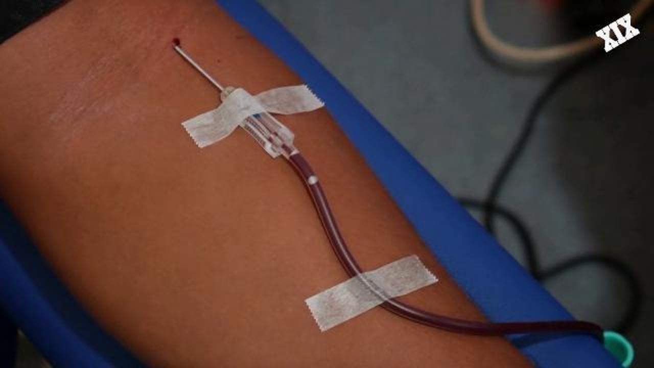 Giornata mondiale della talassemia, è una malattia ereditaria rara: "Le trasfusioni ci salvano la vita"