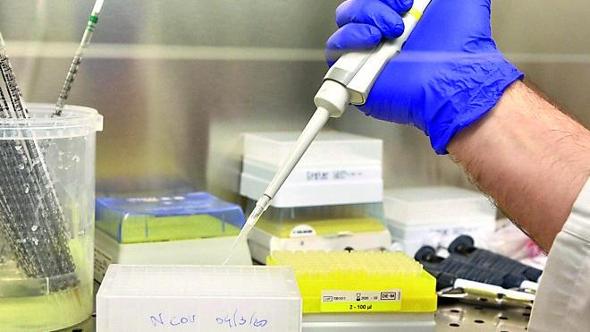 Hantavirus, la Regione Liguria aggiorna il piano pandemico