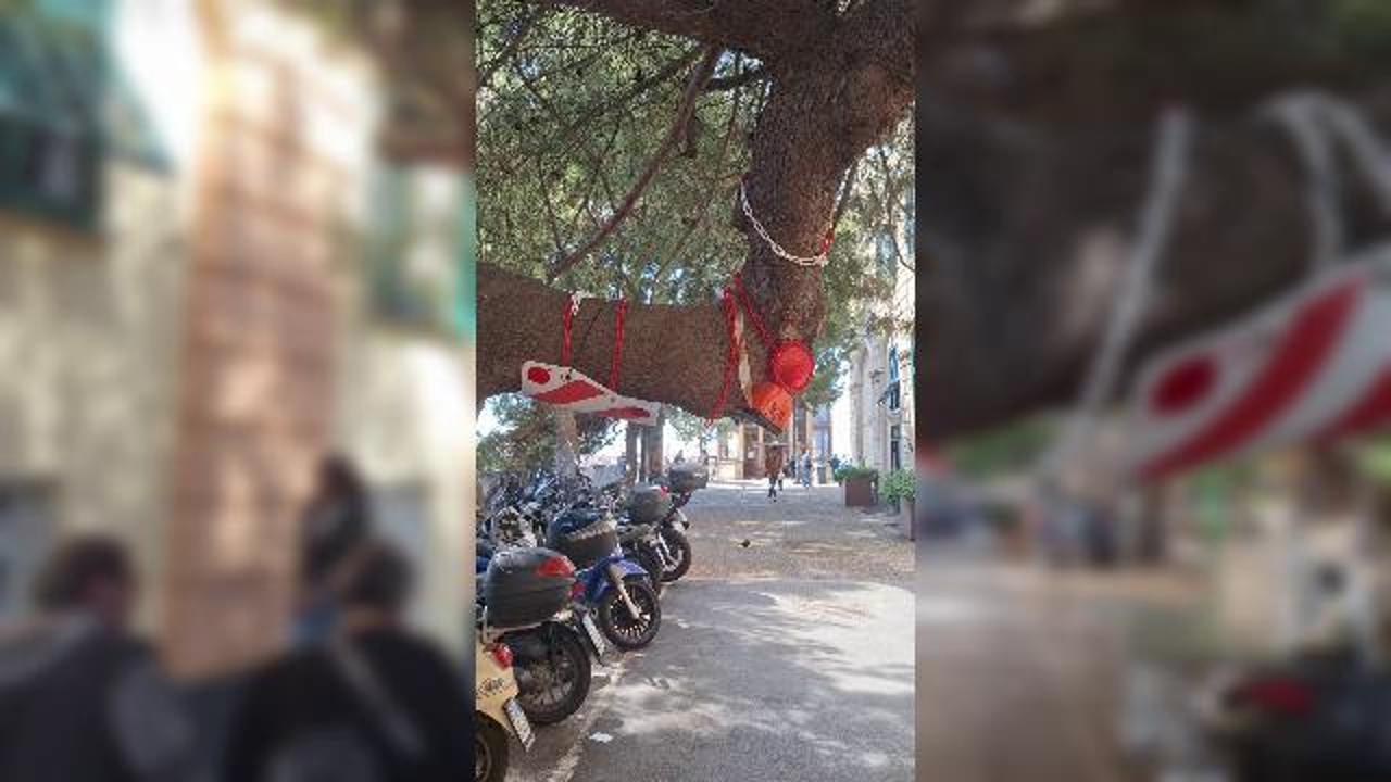 L'albero delle "craniate" a Castelletto