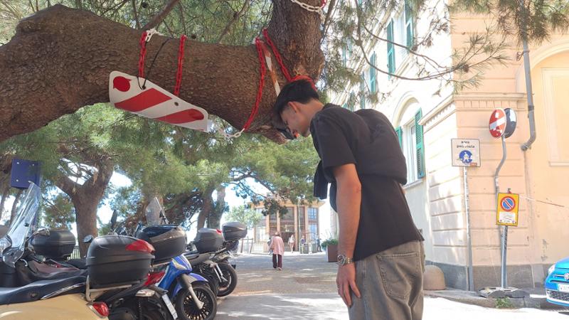 Gli alberi “delle craniate”, a Castelletto i bersagli sono le teste dei passanti