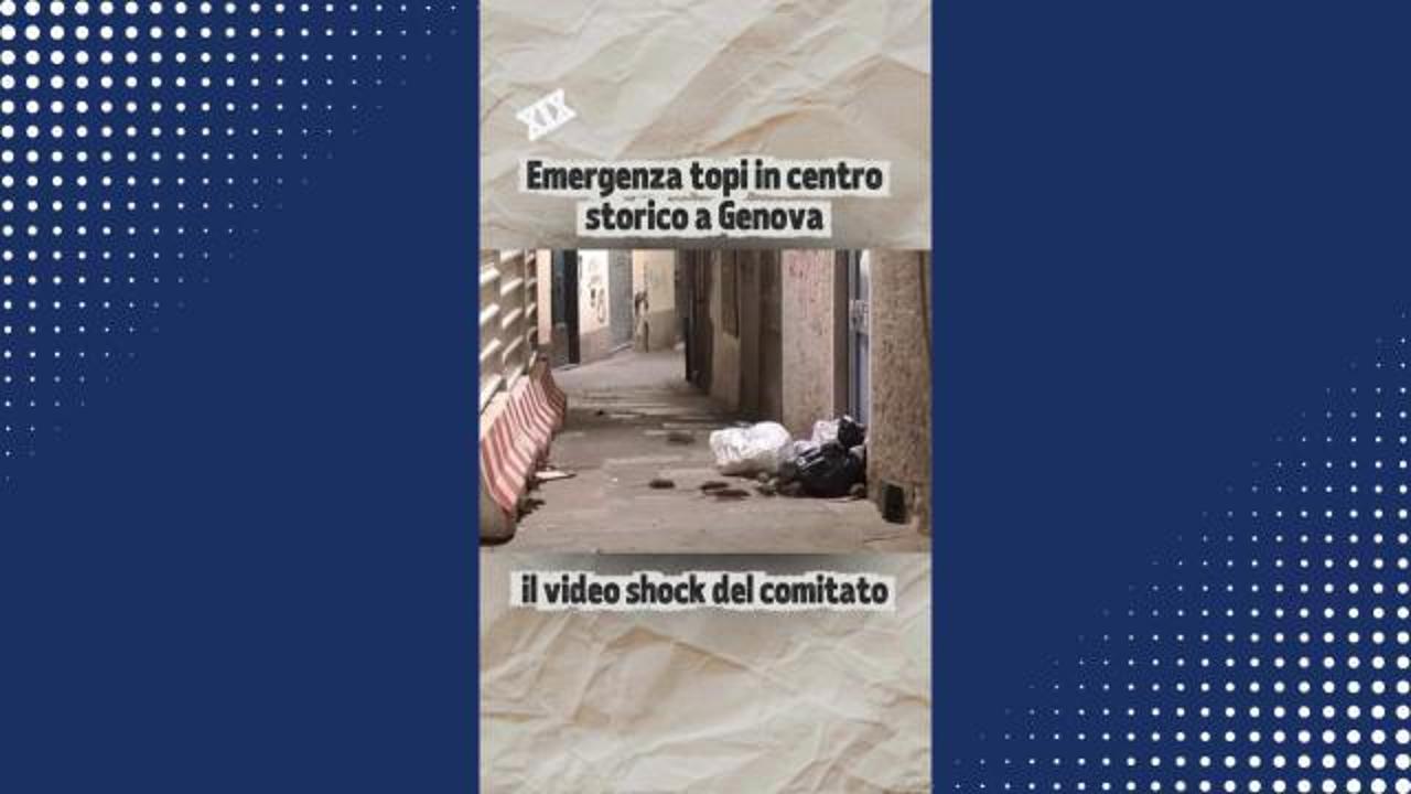 Allarme topi a Genova, il video shock nel centro storico