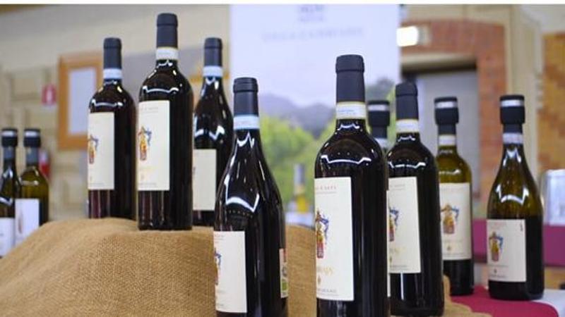 Il mondo del vino torna protagonista in Valle Stura