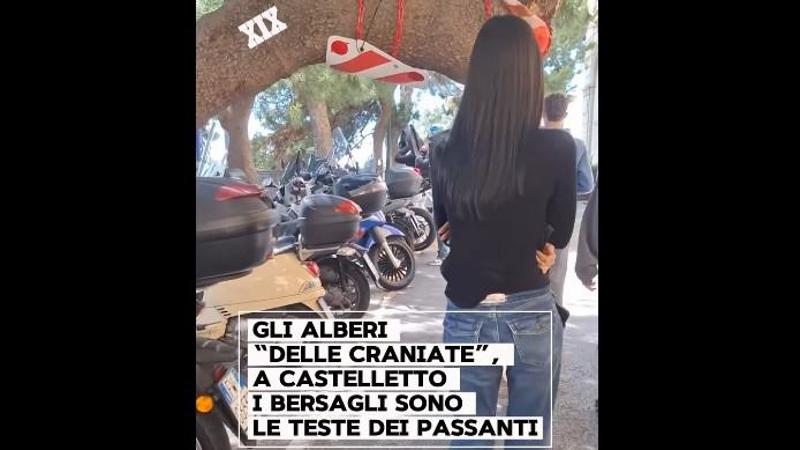 Albero a rischio testate a Castelletto, dal sito del Secolo XIX alla televisione. L’assessore municipale: “La strada diventerà pedonale”