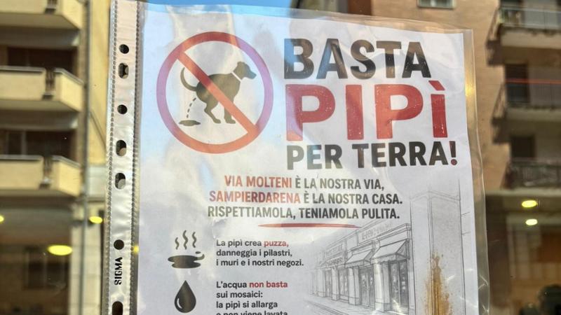 Sampierdarena, la rivolta dei negozianti di via Molteni: "Basta pipì di cane sui nostri marciapiedi"
