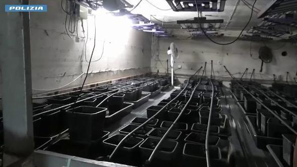 Cerignola, scoperto in un pollaio un bunker per coltivare la marijuana | Video