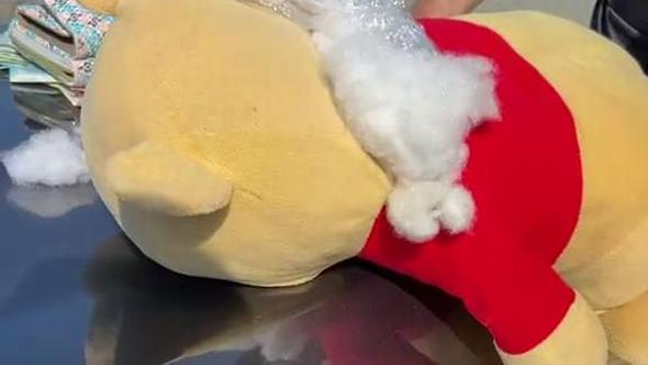Winnie the Pooh usato per nascondere oltre 60mila euro in contanti: la scoperta a Genova