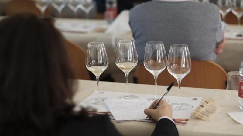 Mare & Mosto: al Ducale una due giorni per gustare vino, olio e sapori di Liguria