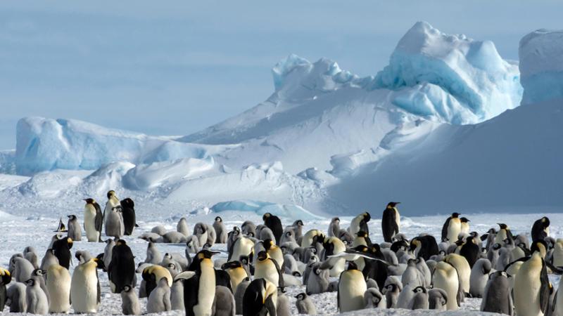 Uno studio dell’Università di Genova fa luce sulle origini dell’Oceania