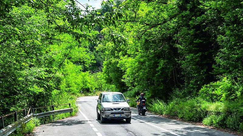 Strade provinciali, rebus sicurezza: “Alberi pericolanti, i privati latitano”