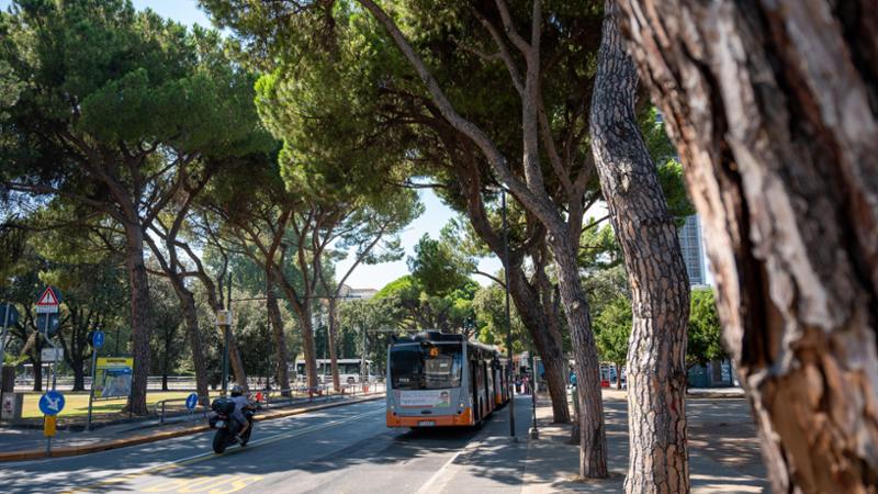 Brignole, da lunedì chiude viale Thaon di Revel ai mezzi privati per i lavori dei 4 Assi
