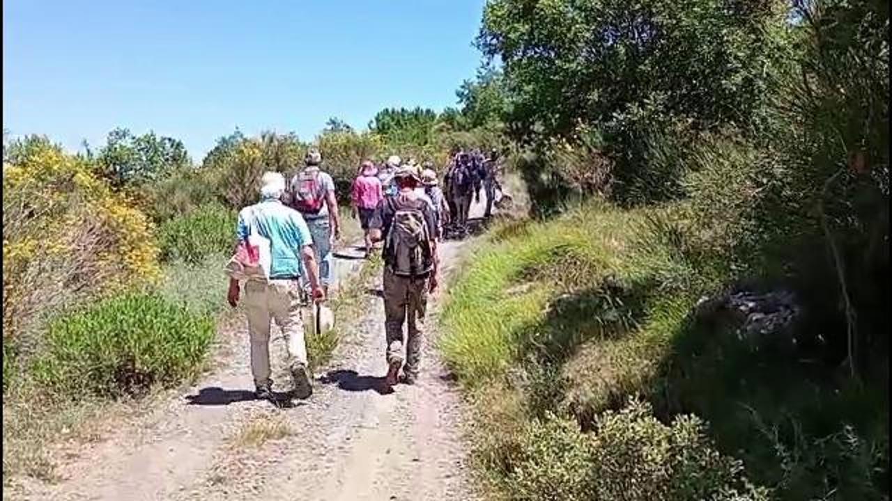 Boscomare, una camminata per dire no al mega parco eolico