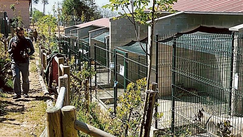 Blitz a Monte Contessa, sequestrati 10 cani e 3 gatti. Il centrodestra: “Si faccia luce”
