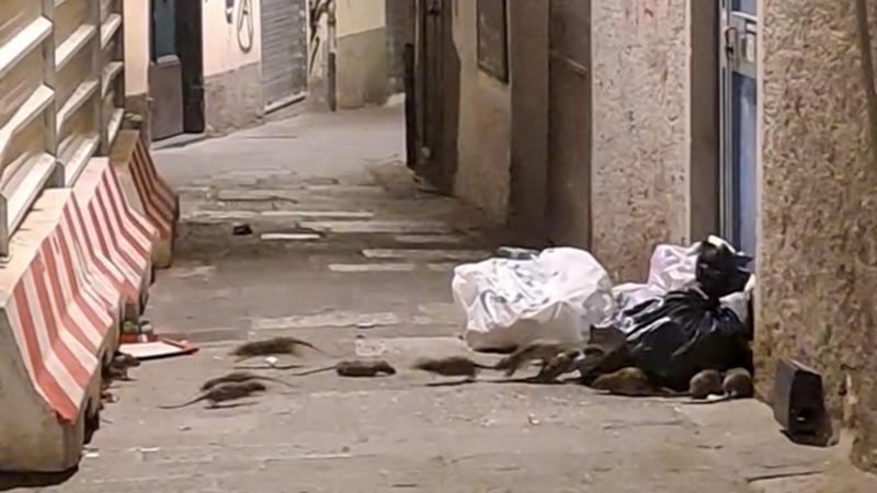 Il centro storico di Genova tra anarchia e regole ignorate