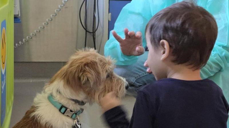 Cuccioli in corsia all’ospedale Gaslini, assistiti oltre 10mila bimbi