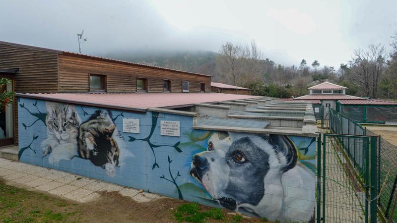 Il canile di Genova non cambia gestore nonostante l’inchiesta. Ok al garante degli animali