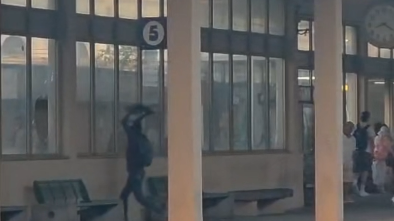 Spacca vetrine all’Acquario e alla stazione di Sampierdarena, denunciato. La testimonianza: "Una furia incredibile"