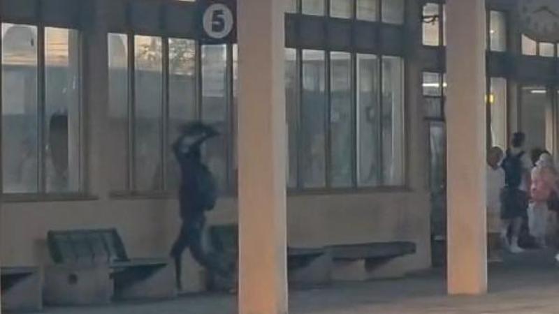 Risse e feriti a Genova, un vandalo denunciato con l’app della polizia