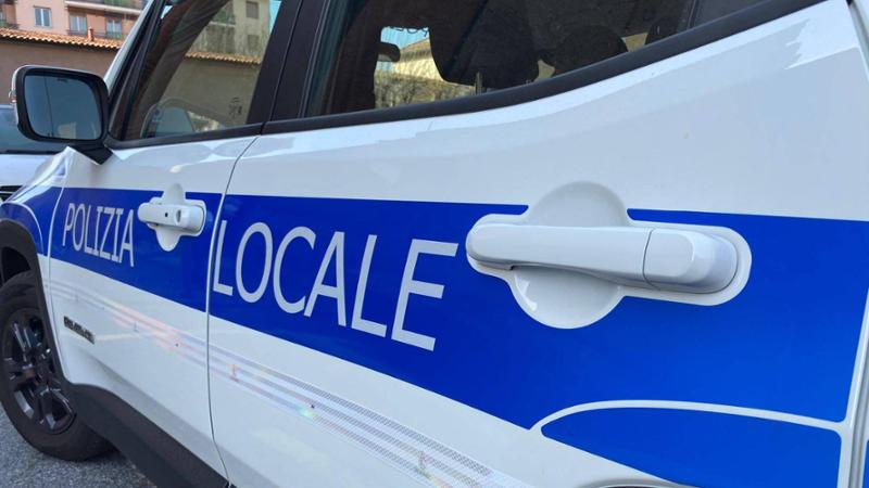 Cane denutrito e maltrattato muore dopo giorni di agonia, denunciato il proprietario