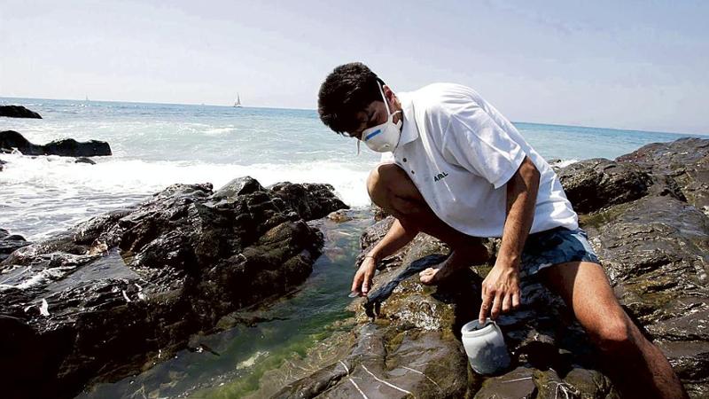 Alga tossica, fioriture a Genova Quinto. Scatta la “fase di allerta”