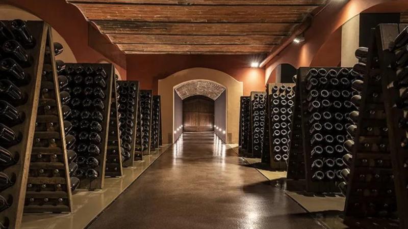 Strevi, colpo alla cantina Banfi. Rubate tremila bottiglie Docg