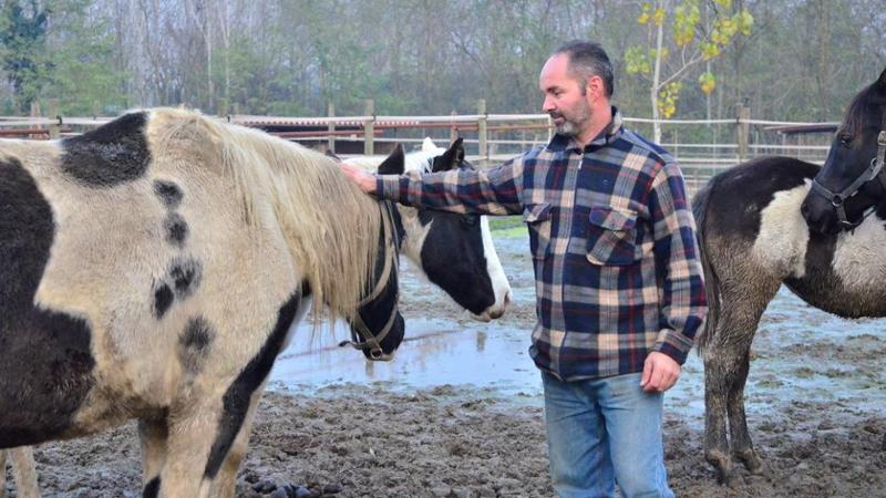 Stalle Abusive Il Comune Le Fa Abbattere La Provincia Pavese